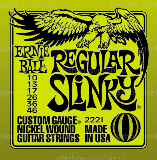 Ernie Ball P02221